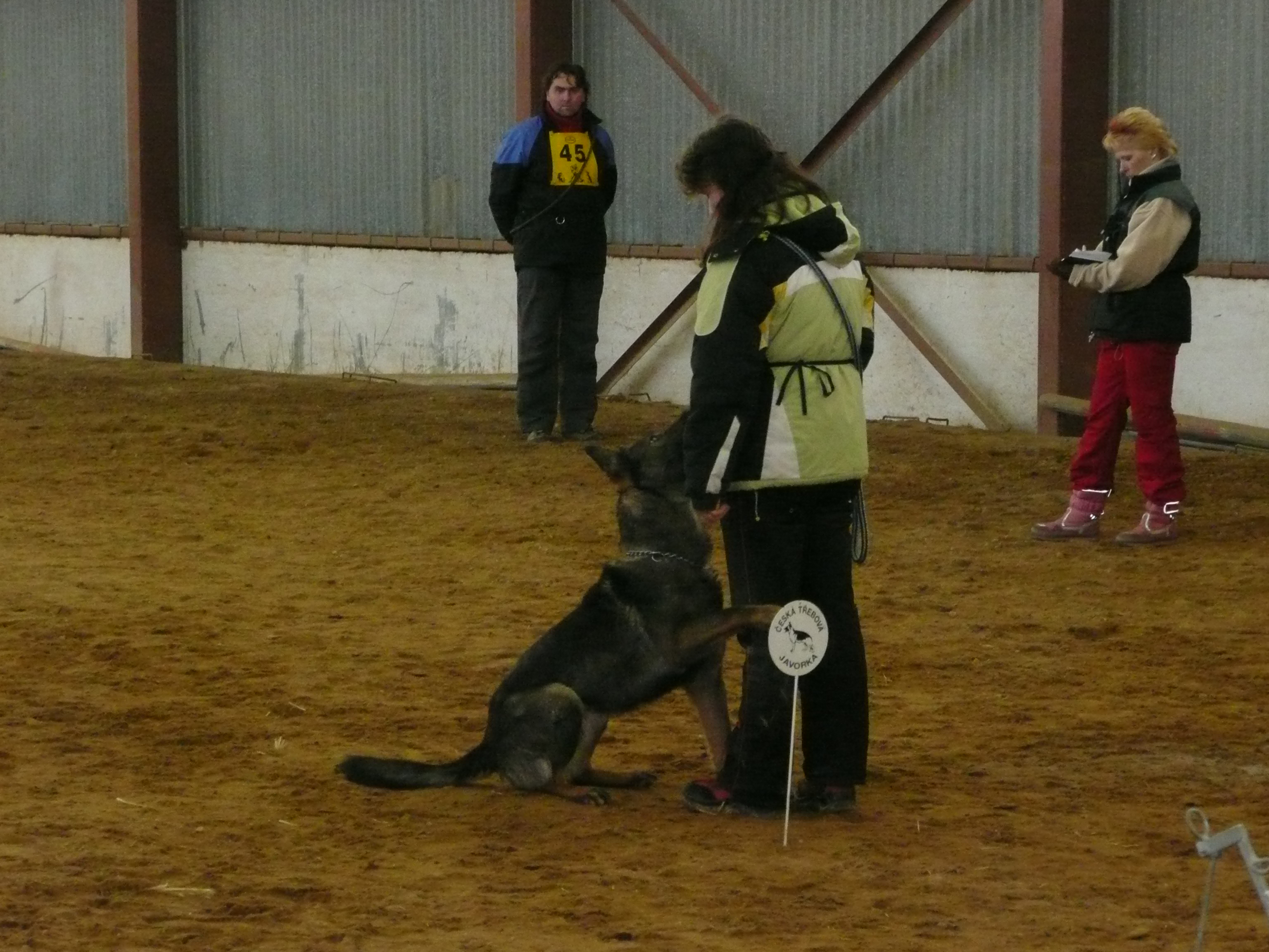 P1020981.JPG