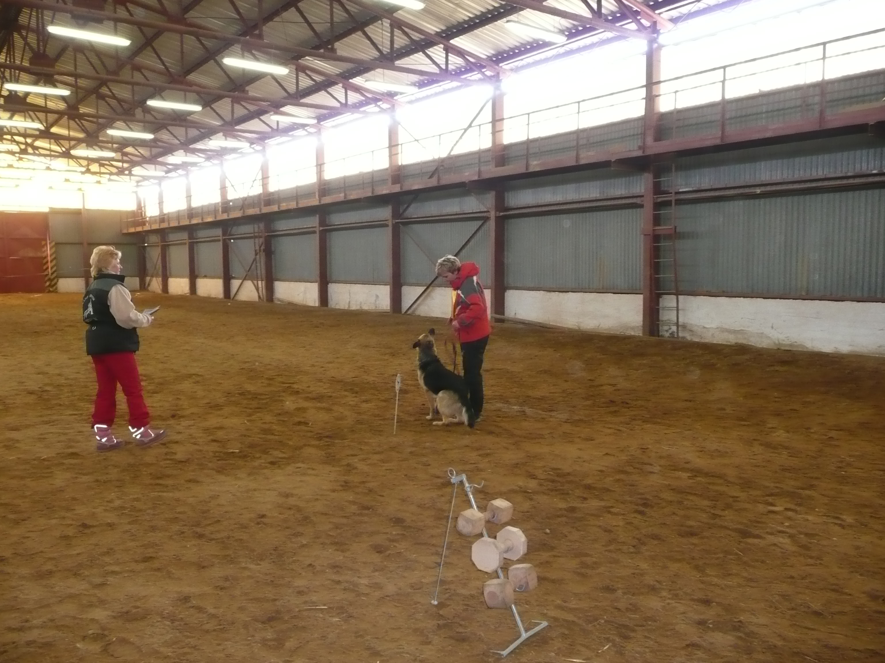 P1030008.JPG